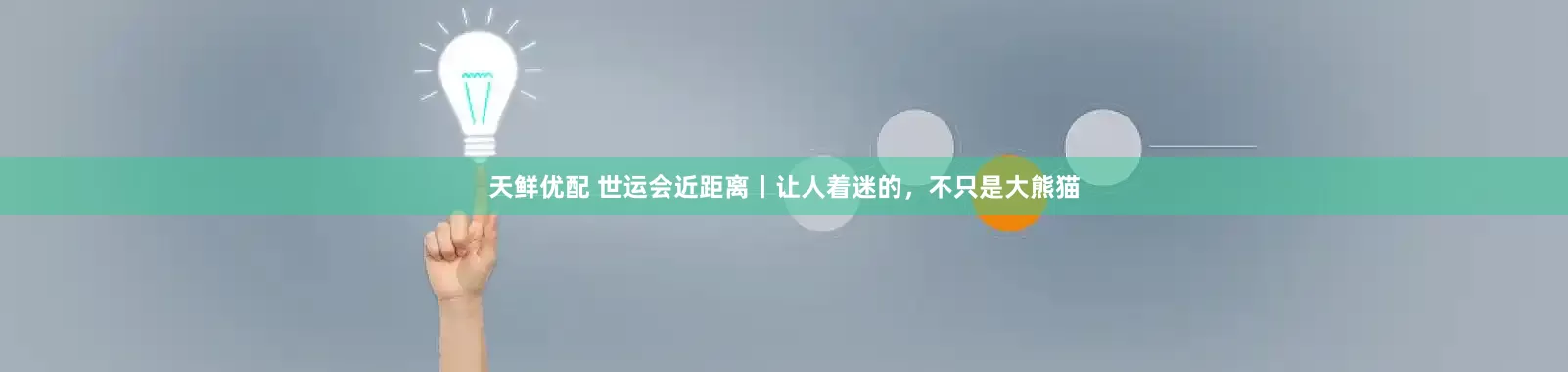 天鲜优配 世运会近距离丨让人着迷的，不只是大熊猫